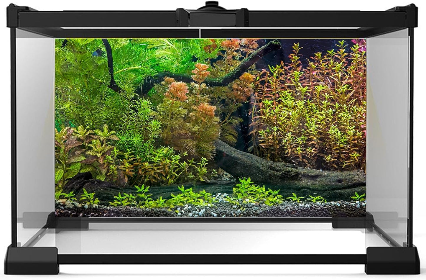 Aquarium Backdrop Underwater Grass Leaves with Pebbles Exquisite Aquarium Background Vivid Green Aquatic Plant Stone River Bed Fish Dead Wood Fresh Leaves Tank Background Decors Vinyl 36x24in