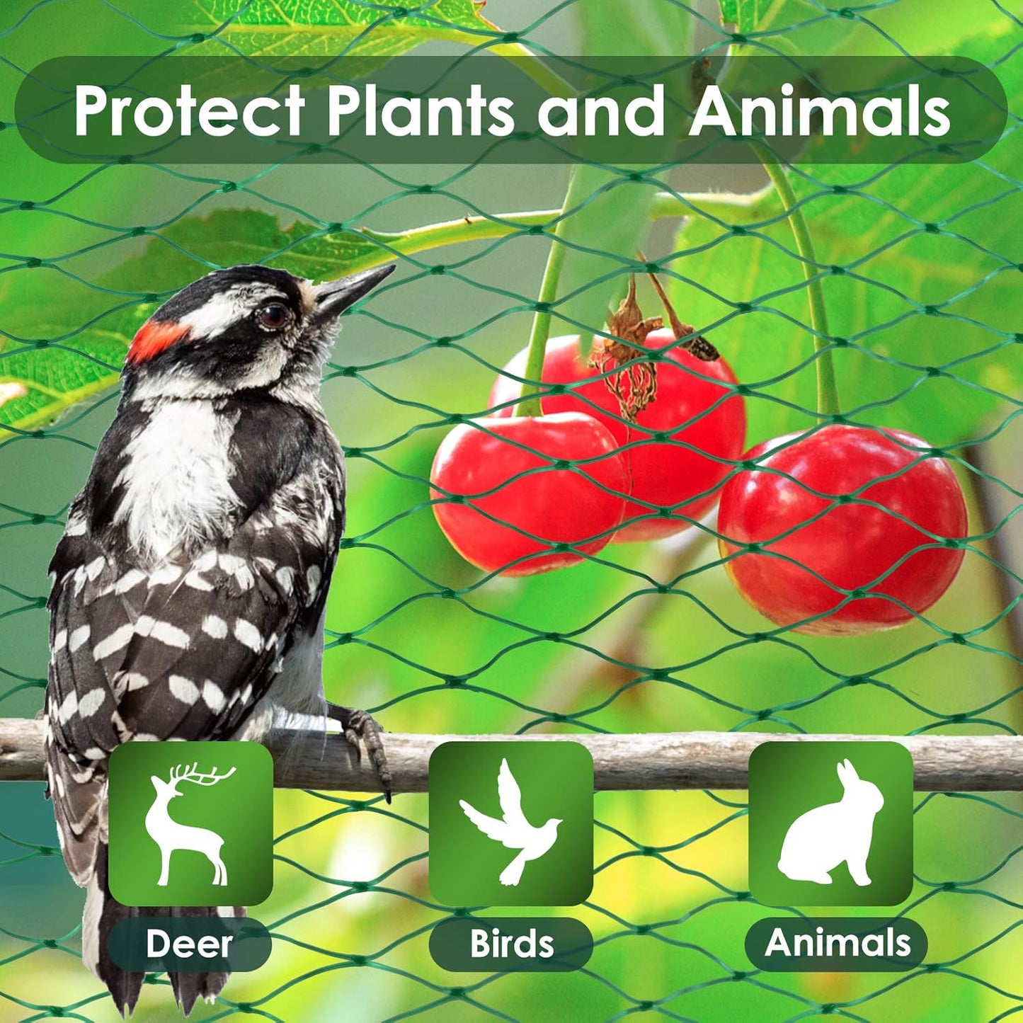 13X65Ft Bird Netting for Garden Protect Vegetable Plants and Fruit Trees,Plastic Trellis Netting for Birds, Deer,Squirrels and Other Animals