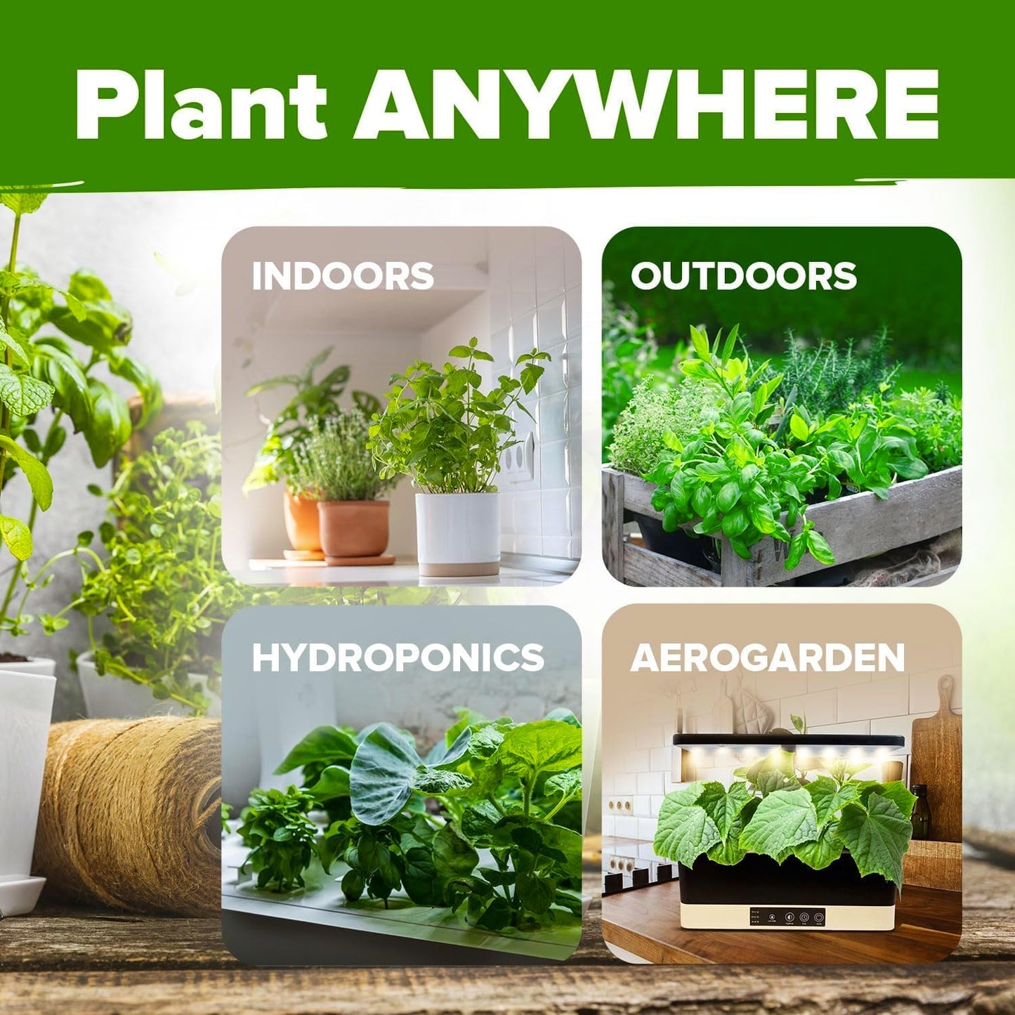 HOME GROWN 6 Herb Seeds for Planting 3,200+ Non-GMO Heirloom Seeds | Extra Large Variety Pack Herb Kit – Indoor Outdoor & Hydroponic | Culinary Seed Set | Grow Your Own Herbs | Gift for Beginners