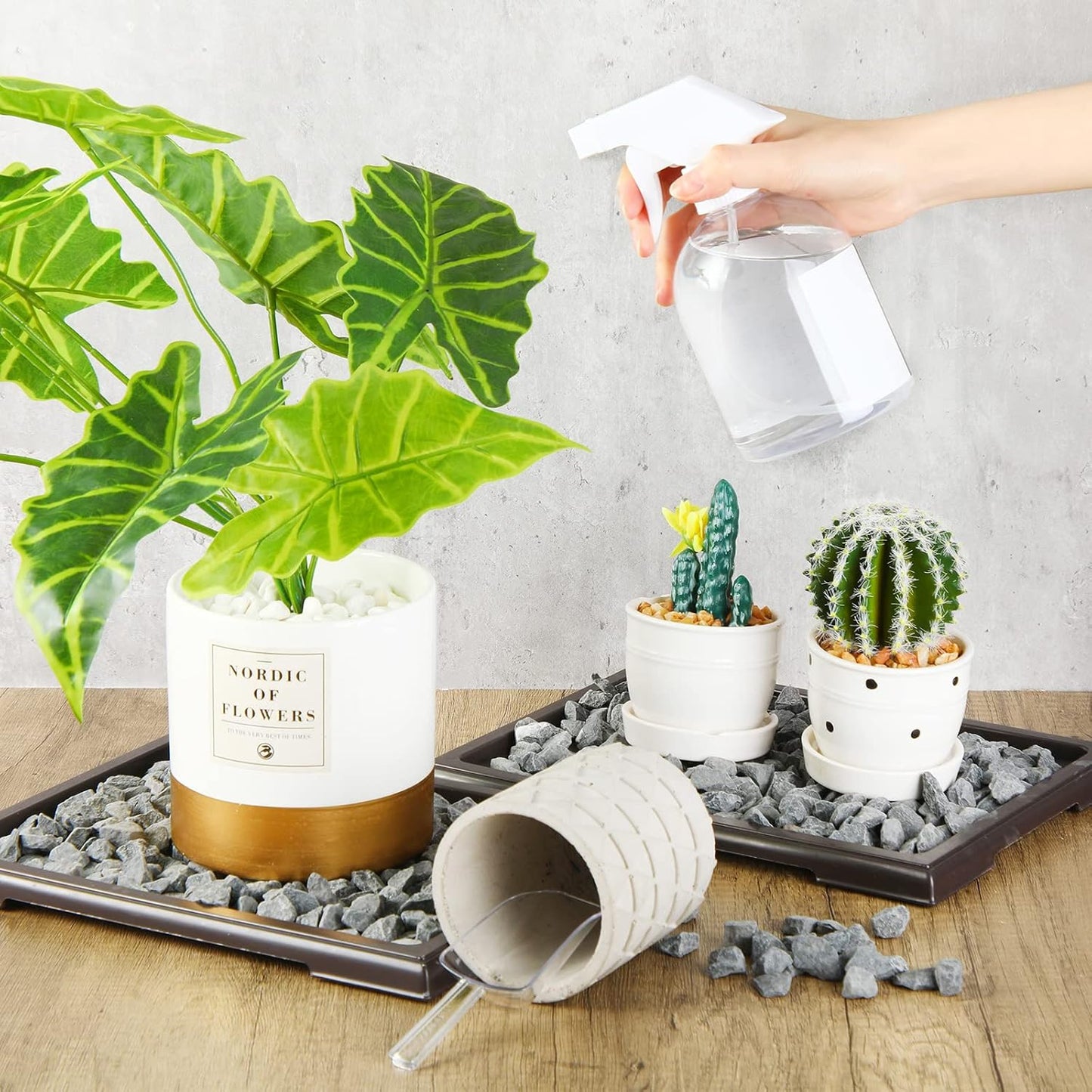 Pinkunn 6 Pcs Bonsai Humidity Tray Drip Tray Plastic Plant Water Catcher Plant Saucers for Indoors and Outdoors Cactus,Succulents,Bonsai Tree,Stone Not Included (11 x 8 Inch)