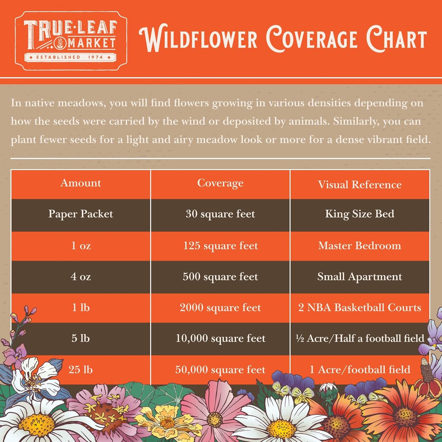 Wildflower Seeds Bulk - Meadow Wildflower Seed Mix, 5 Lbs Bulk, Annual & Perennial Wildflowers Seeds for Planting, Wild Flower & Grass Garden Mixture, Mountain Valley Seed Company