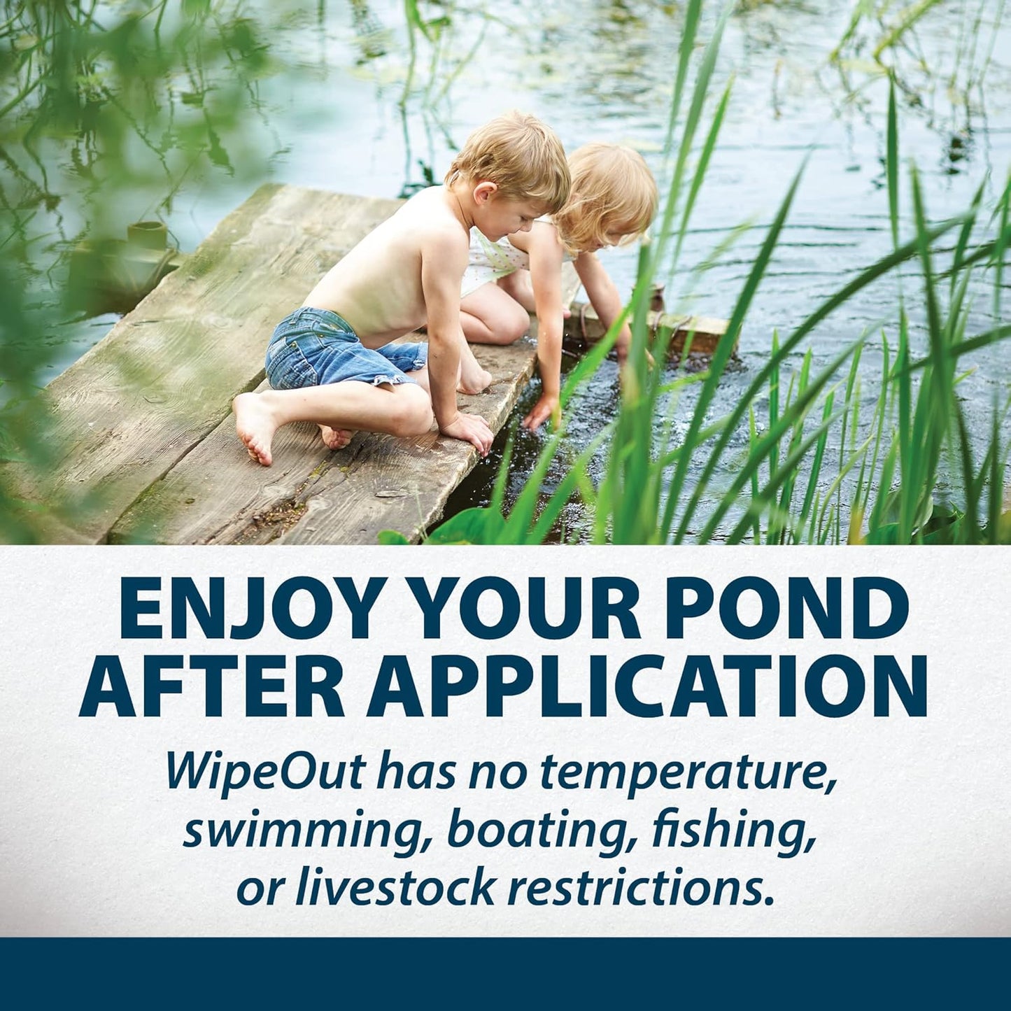 Airmax Wipeout Pond Weed Defense, Herbicide & Aquatic Weed Control, Controls Duckweed & Other Unwanted Submerged & Floating Vegetation, Easy-to-Use & Long Lasting, All-Season Treatment - 1 Gallon