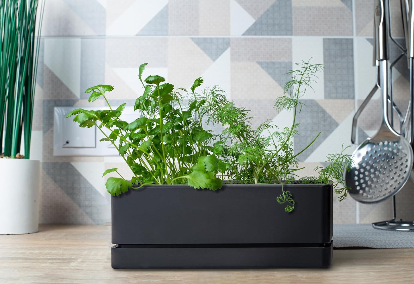 D'vine Dev 12 Inch Window Box Planter, Rectangle Plastic Herb Planter with Drainage Holes and Saucer, Indoor Succulent Cactus Vegetable Pot for Windowsill, Garden Balcony, Black, Set of 2, 76-X-B-2