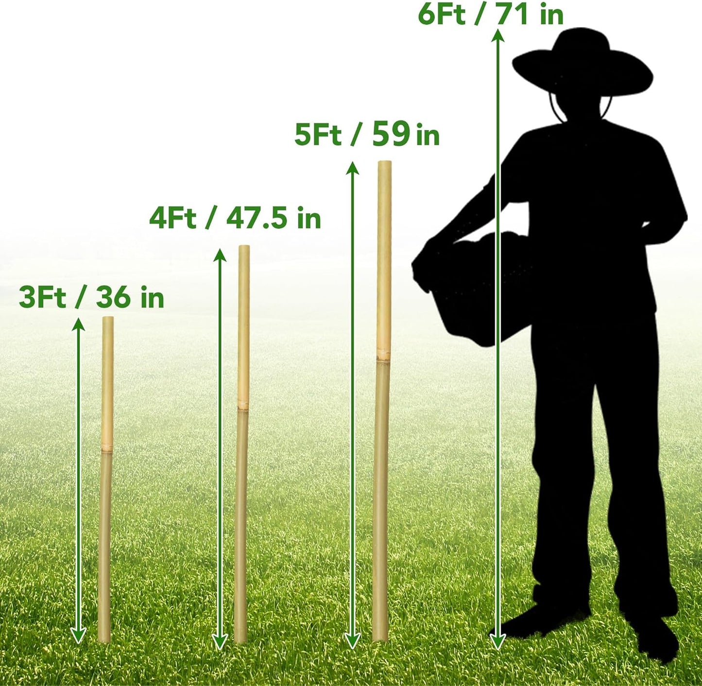 60Pcs Bamboo Stakes for Plant 5 Feet(57.5 inch), Garden Bamboo Plant Stakes for Plants Support, Climbing Plants, Tomatoes, Sunflowers, Beans, Potted Plants, Trees