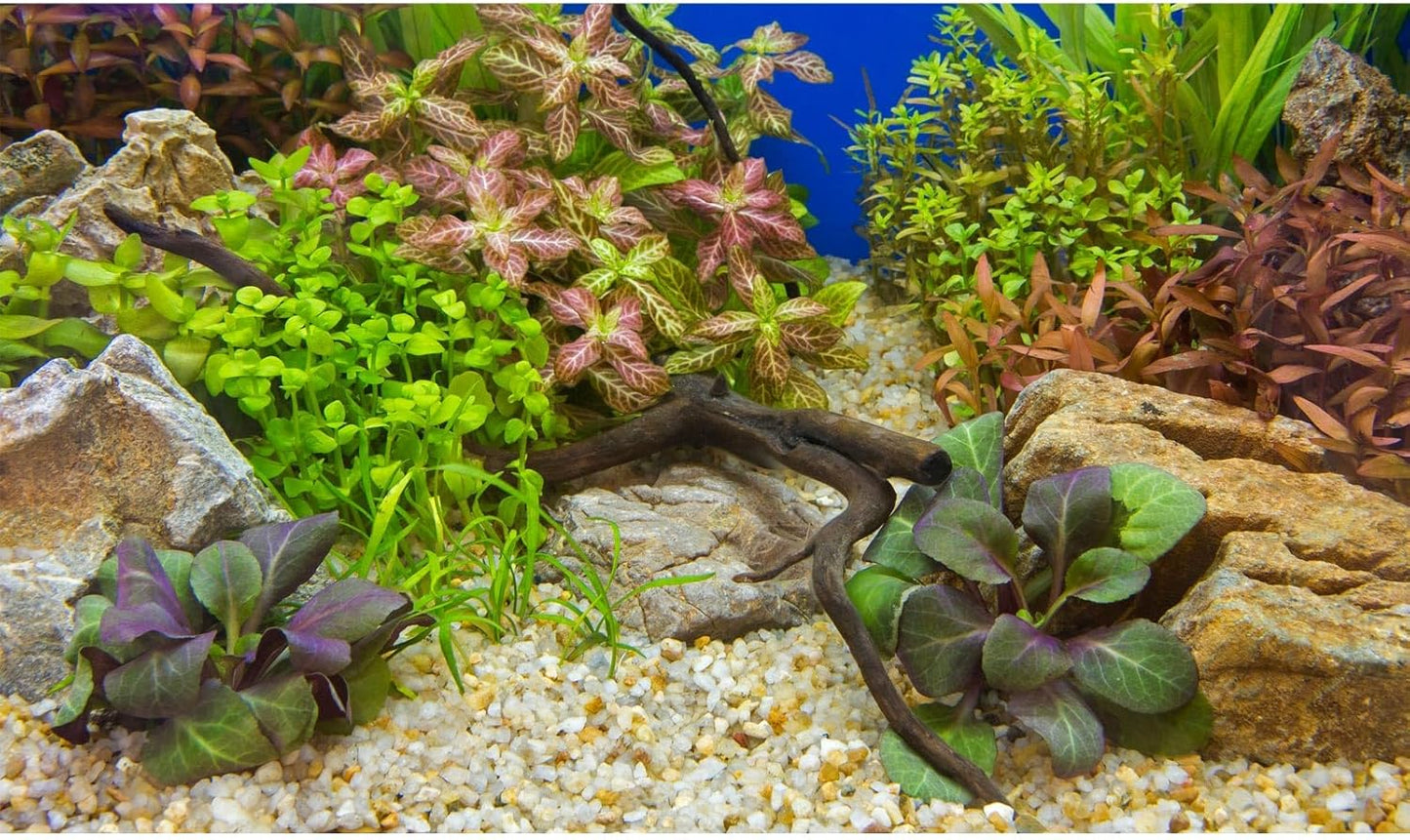 Fish Tank Background Various Underwater Grass Plants Pebble Aquarium Background Vivid Green Aquatic Plants Stone River Bed Terrarium Background Dead Wood Purple Leaves Tank Background 30x12in
