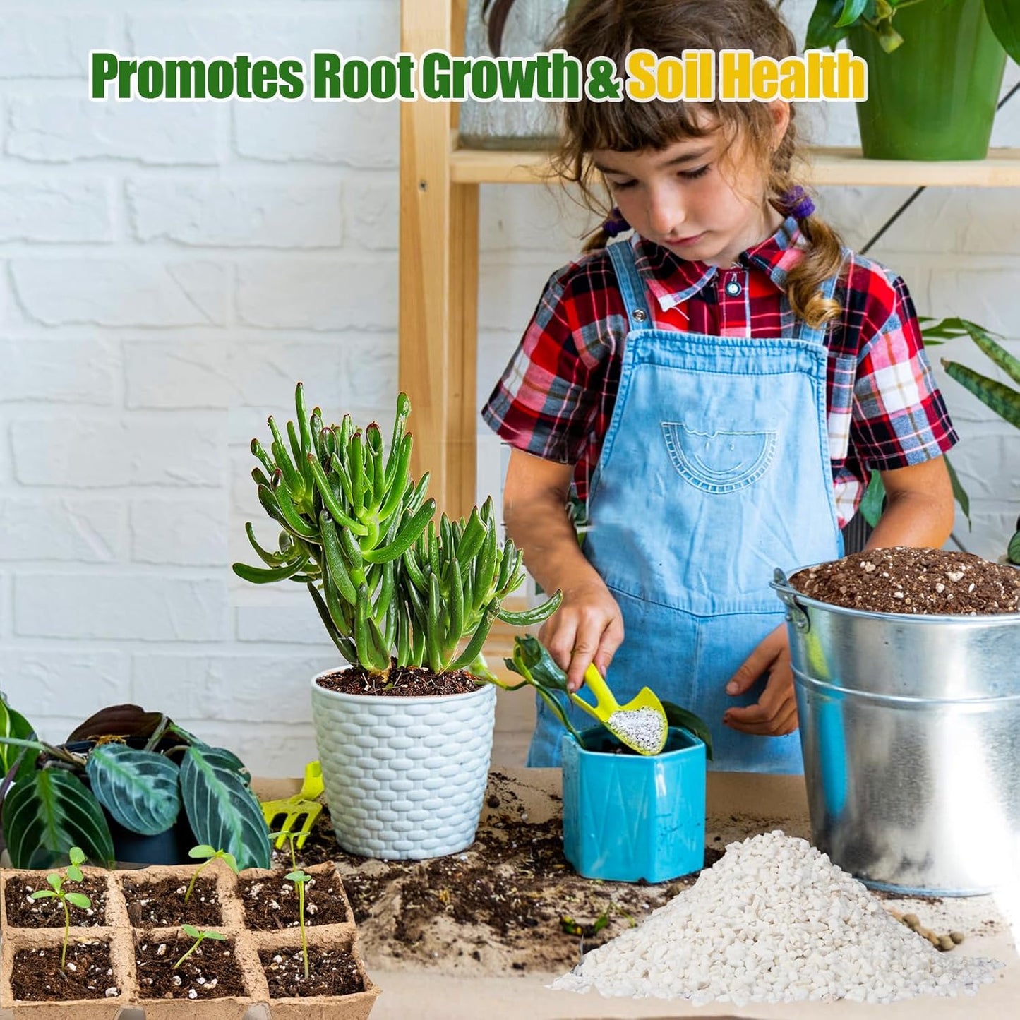 Horticultural Perlite for Plants 2qt, All Natural Horticultural Soil Additive Conditioner Mix, Improve Ventilation and Drainage, Enhance Soil Health and Root Growth