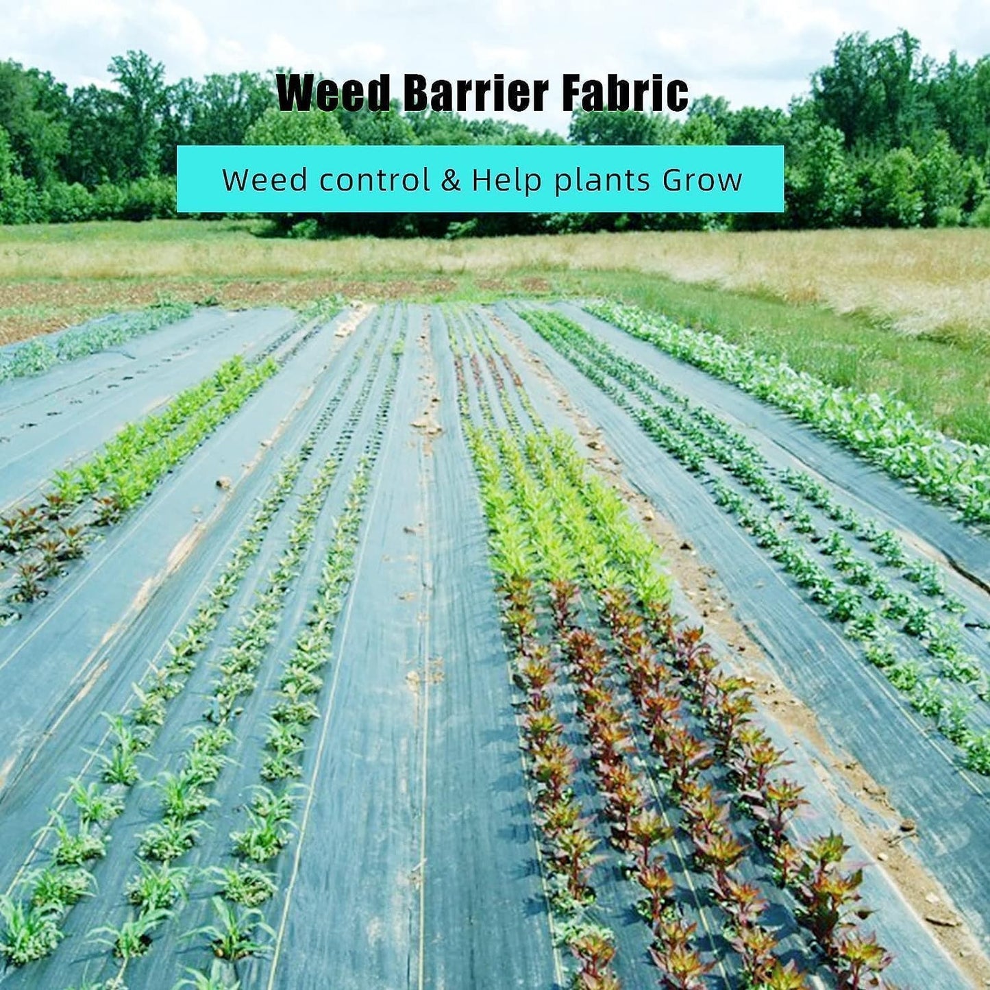 6.5ft x 330ft Premium Weed Barrier Landscape Fabric, 3.2oz Heavy Duty, Weed Control Fabric, High Permeability Good for Flower Bed, Driveway Fabric Ground Cover