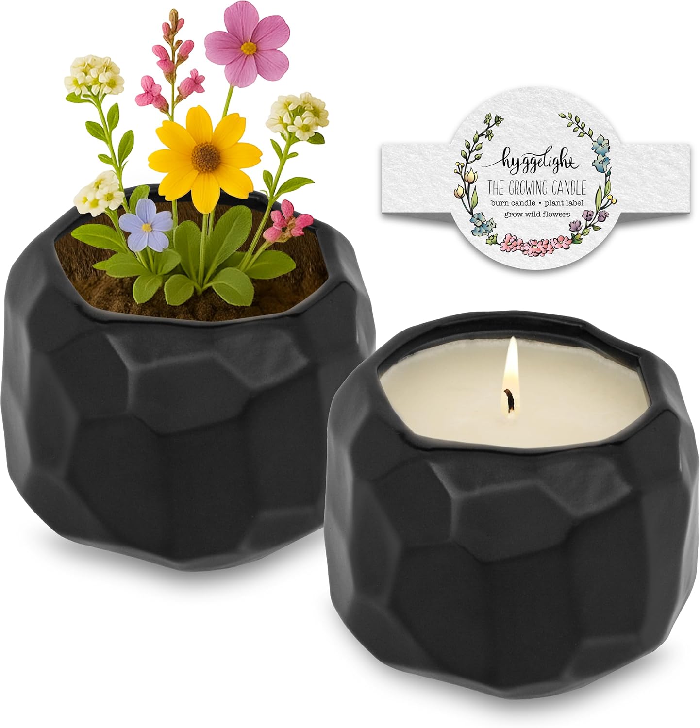 The Growing Candle, Coffee Scented, 13oz Ceramic Pot, Aromatherapy Candles, 100% Soy, Cream and Espresso Aroma for Home, Emma