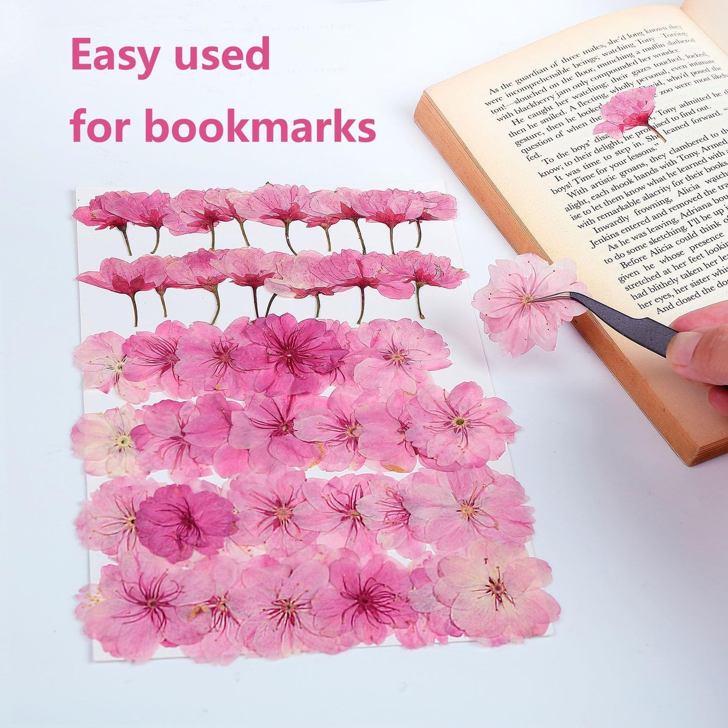 48 Pcs Mix Cherry Blossom Natural Dried Pressed Flowers for Cake Decorating, Real Dry Flower for Resin Jewelry Making, DIY Art Crafts - Pink Sakura…
