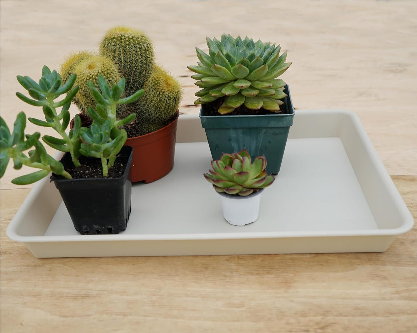 2 Pack Plant Saucer Tray Rectangular, Plant Growing Nursery Trays, Heavy Sturdy Seed Starting Trays, Plant Starter Trays for Indoors No Holes, Seed Starter Growing Tray (17.5"x10.6", Beige)