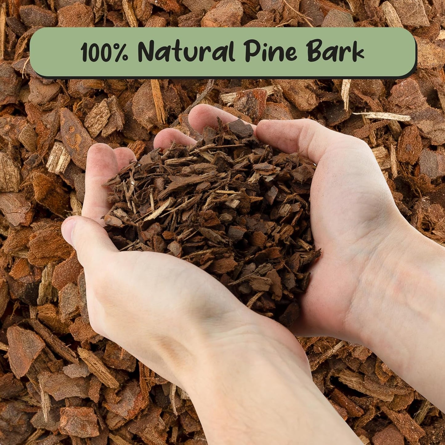 100% Organic Orchid Potting Bark (4 Quarts), All-Natural USA-Sourced Pine Bark Orchid Mix Additive