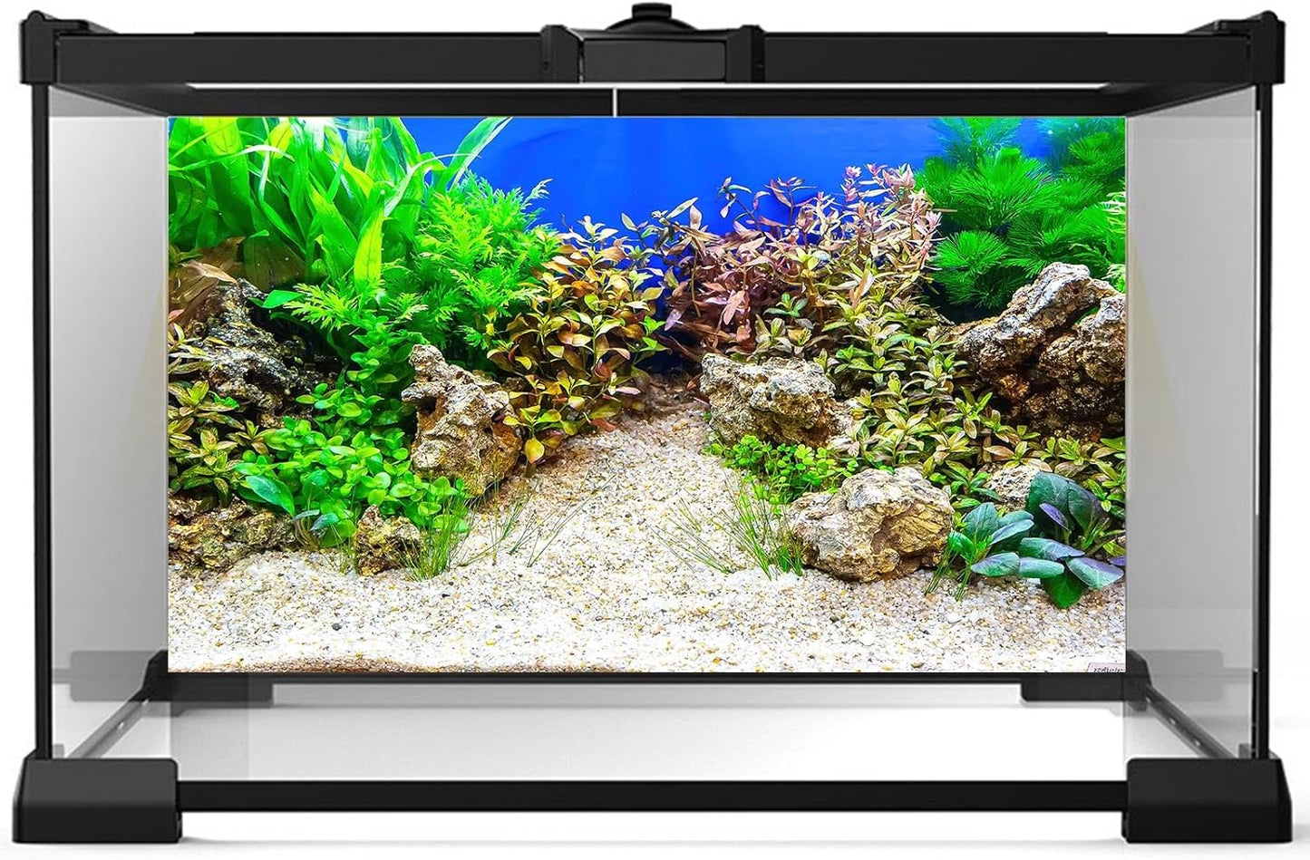 Aquarium Background Underwater Grass Leaves with Pebble Aquarium Backdrop Vivid and Fresh Green Aquatic Plant Stone River Bed and Lake Fish Tank Background Decor Vinyl 24x12in