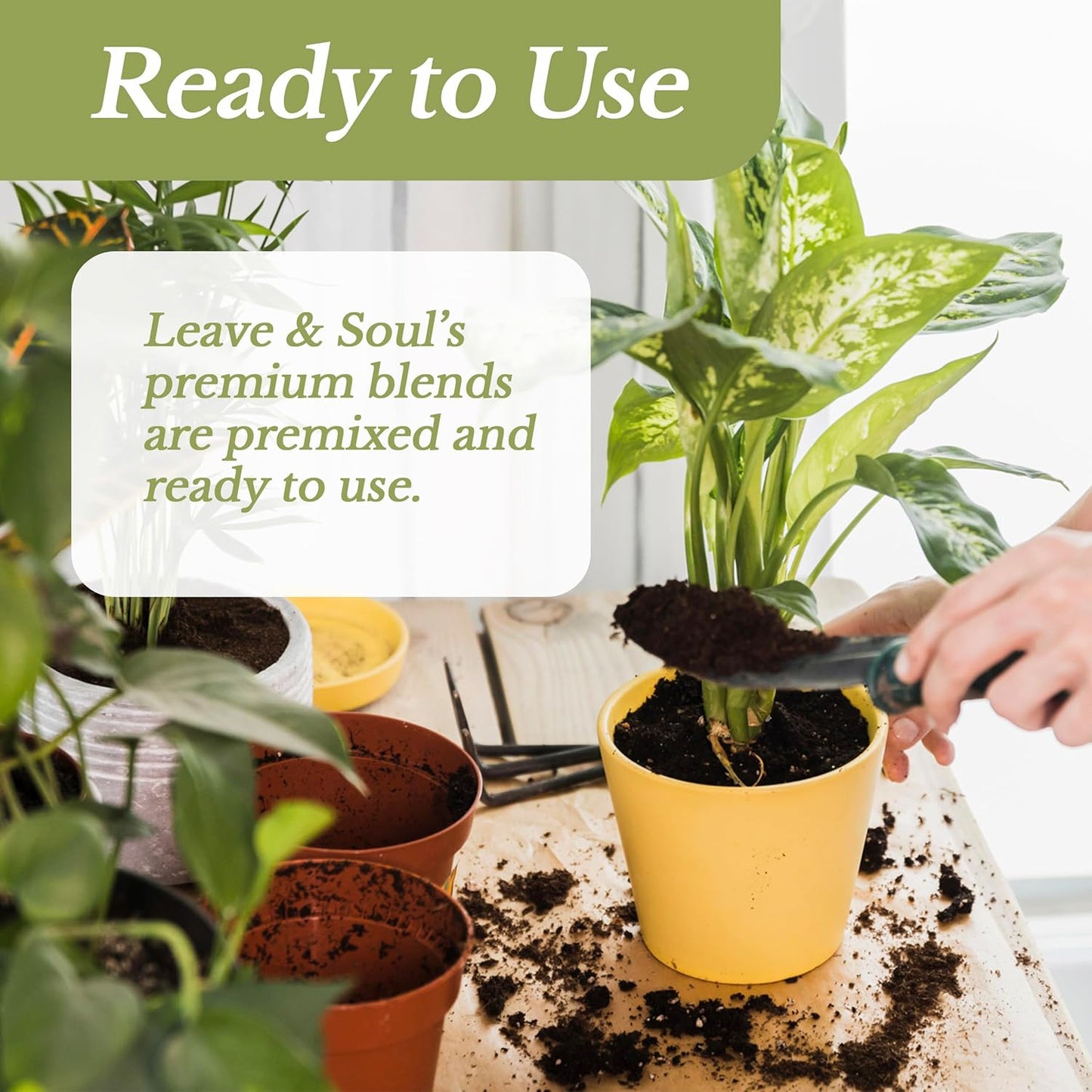 Professional Indoor Herb Plant Soil | Large 2.2 Quarts Ready to Use for Kitchen, Gardens, Cooking Herbs | Peat Moss, Coco Coir, Perlite, Dolomite | Made in USA