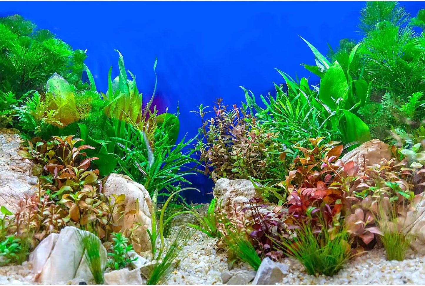 Aquarium Background Green Aquatic Plant Stone River Bed and Lake Fish Tank Background Decor Underwater Grass Leaves with Pebble Aquarium Backdrop Perfect Fish Tank Decors Vinyl 48x24in