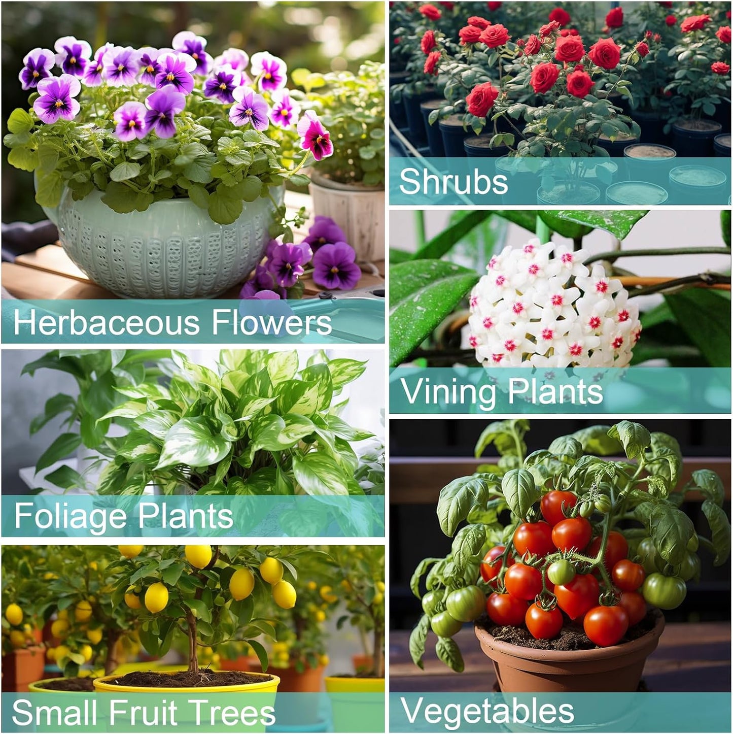 Potting Soil Mix 2qt for Indoor Plants, Organic Houseplant Soil Well Draining Dirt Ready to Use, Fit for House Plant Like Pothos, Philodendron, Monstera, African Violet