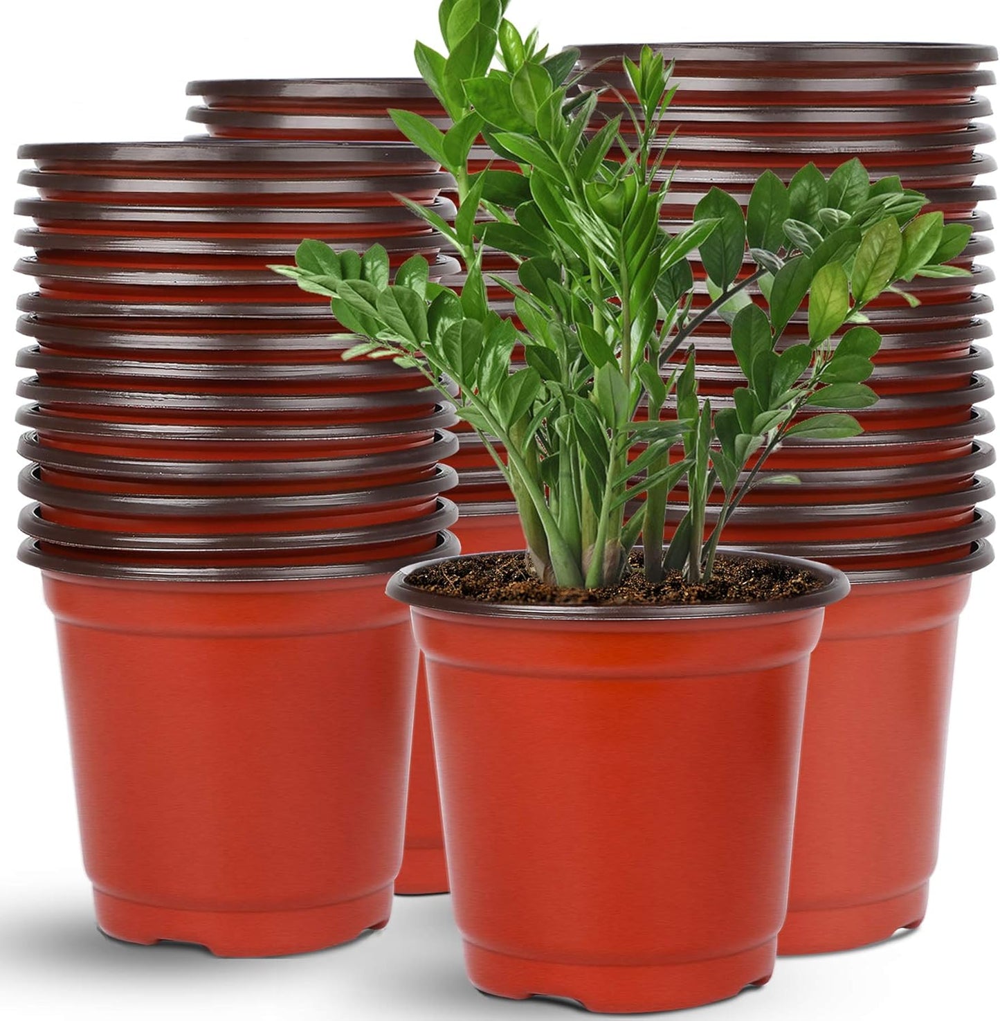 Augshy 110 Pcs 6" Plastic Plants Nursery Pot, Seed Starting Pots for Succulent Seedling Cutting Transplanting