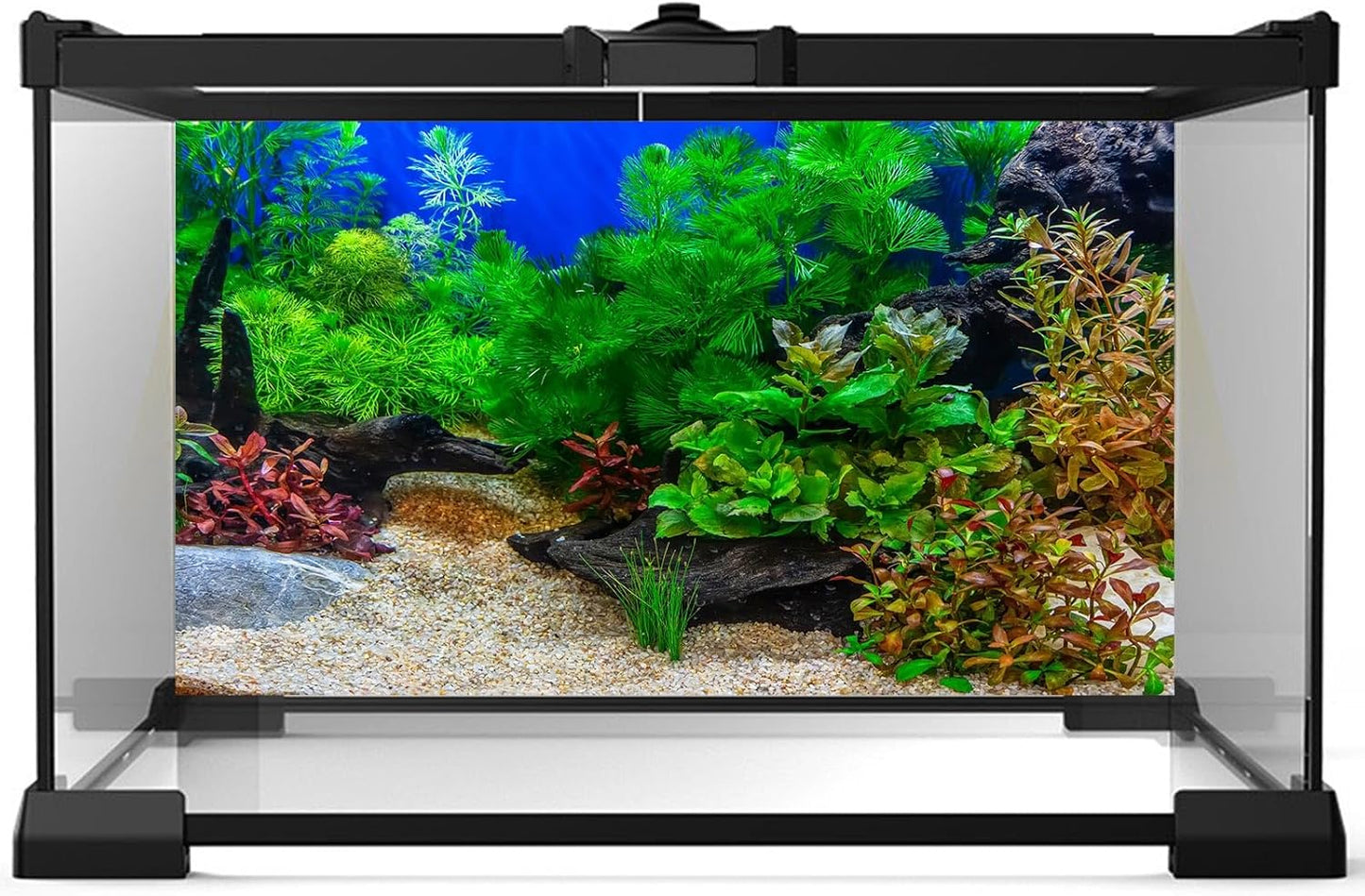 Aquarium Background Underwater Grass Leaves with Pebble Aquarium Backdrop Vivid and Fresh Green Aquatic Plant Stone River Bed and Lake Fish Deadwood Tank Background Decor Vinyl 72x24in