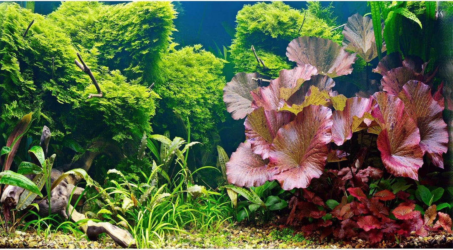 Aquarium Background Underwater Grass Leaves Pebble Aquarium Backdrop Vivid and Fresh Green Aquatic Plant Background Stone River Bed DeadWood Purple Leaves Tank Background Decor Vinyl 72x18in
