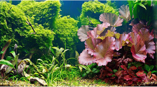 Aquarium Background Underwater Grass Leaves Pebble Aquarium Backdrop Vivid and Fresh Green Aquatic Plant Background Stone River Bed DeadWood Purple Leaves Tank Background Decor Vinyl 72x18in