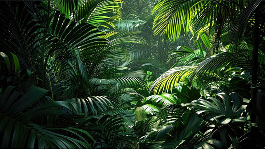 Aquarium Background Enchanting Beauty of Jungle Terrarium Backdrop Nature Jungle Green Leaf Palms Fish Tank Background Reptile Habitat Backdrop Wallpaper Poster Decor Vinyl 24x16in