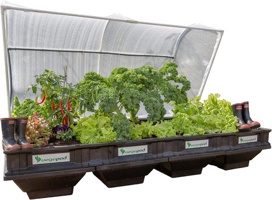 Vegepod - Raised Garden Bed - Self Watering Container Garden Kit with Protective Cover, Easily Elevated to Waist Height, 10 Years Warranty (Large)