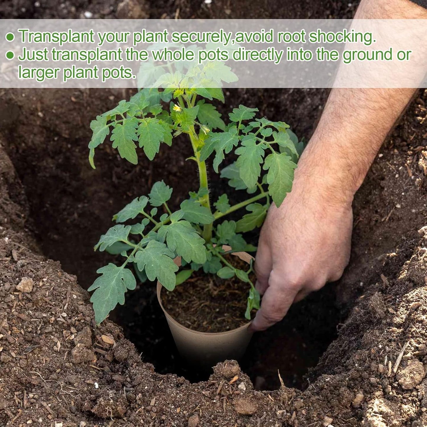 100PCS Peat Pots, 3.15Inch Seed Starting Pots with Drainage Holes Round Nursery Pot, Garden Germination Nursery Pot Bonus 20 Plant Labels