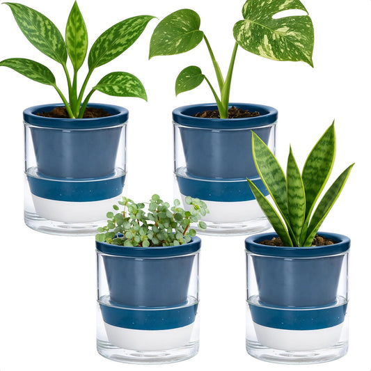 D'vine Dev 4 Inch Design Self Watering Planter for Indoor Plants, Blue Terracotta Pot with Cylinder Glass Cup, Set of 4, 37-Z-A-4-F
