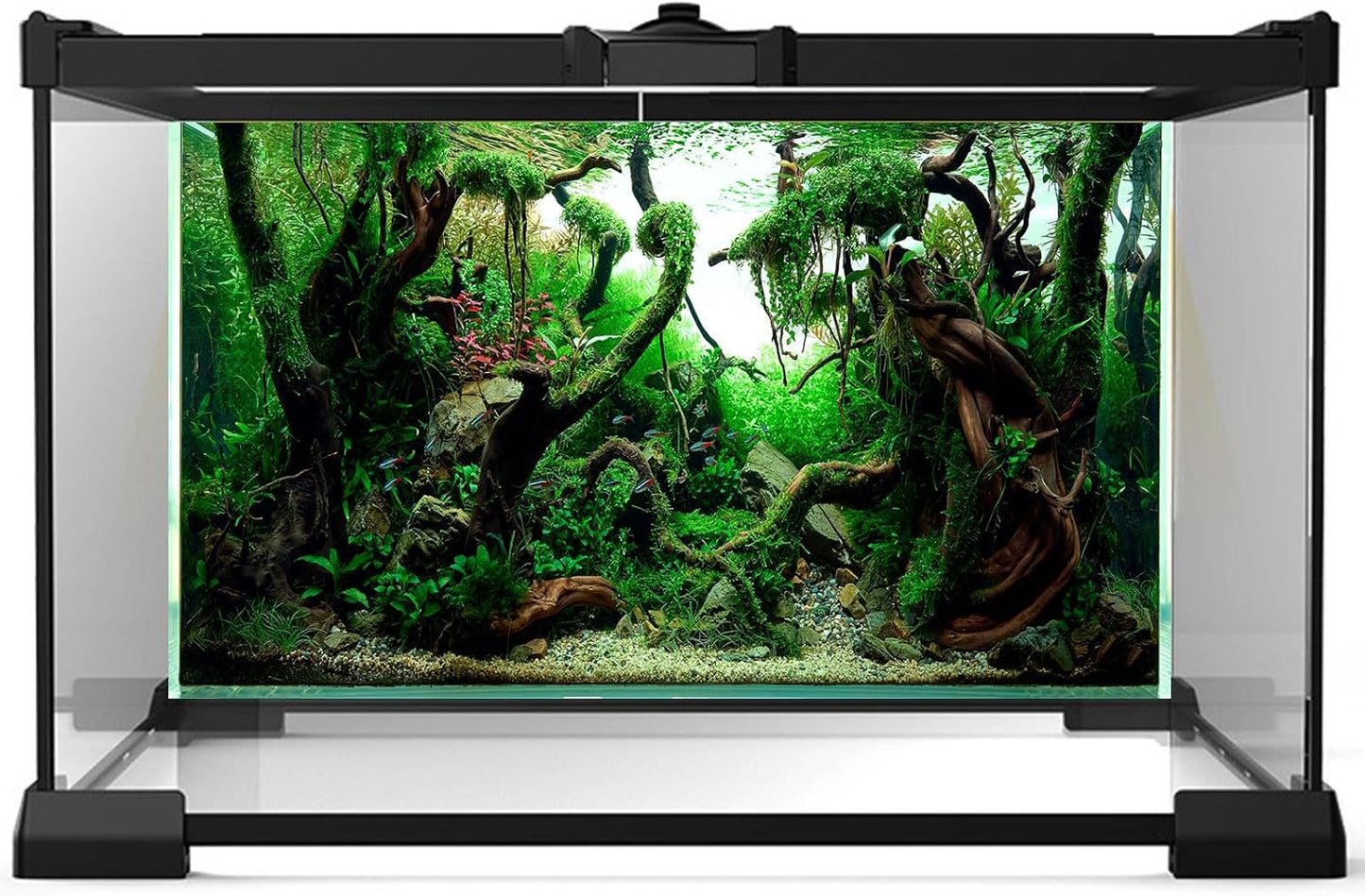 Aquarium Background Underwater Pebble Grass Leaves Aquarium Backdrop Vivid Fresh Green Aquatic Plant Stone River Bed Aquarium Backdrop Deadwood Purple Leaves Tank Background Vinyl 72x18in