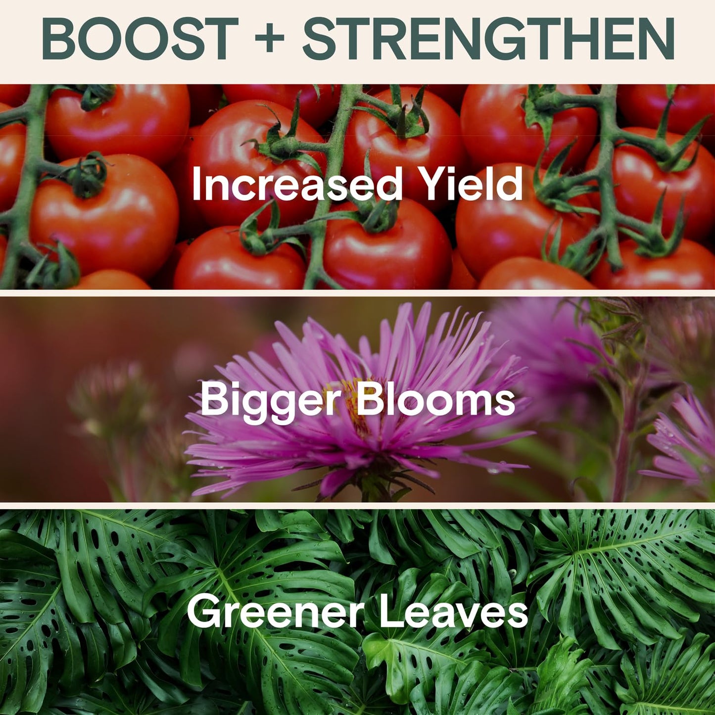 Organic Food & Fertilizer – Liquid Nutrients for Houseplants, Indoor & Outdoor Growth, House Fertilizer for Vegetables, Flowers, Monstera, Bougainvillea, Money Tree - (Organic Nutrition & Health Set)