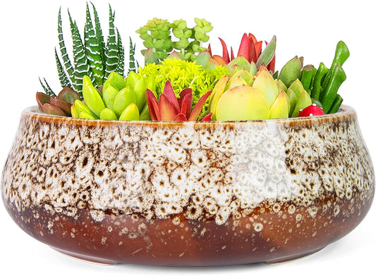 ARTKETTY Succulent Pots - 8 Inch Plant Pot, Large Bonsai Pots with Drainage, Ceramic Planters for Indoor Outdoor Plants, Round Shallow Cactus Flower Plant Container Bowl Decorative Home Garden