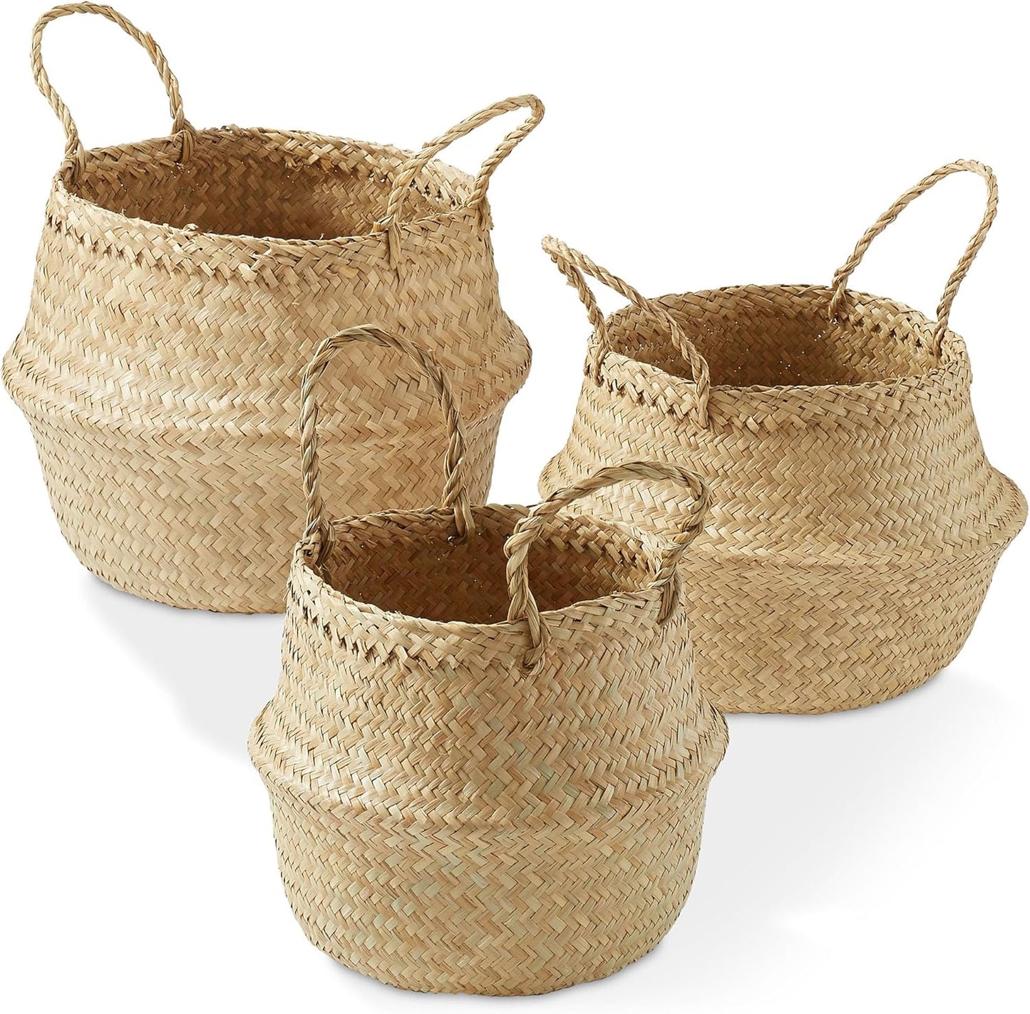 Casafield (Set of 3) Seagrass Belly Storage Basket Planters - Small, Medium, Large, Natural Woven Wicker Indoor Plant Pot Covers for Plants and Trees