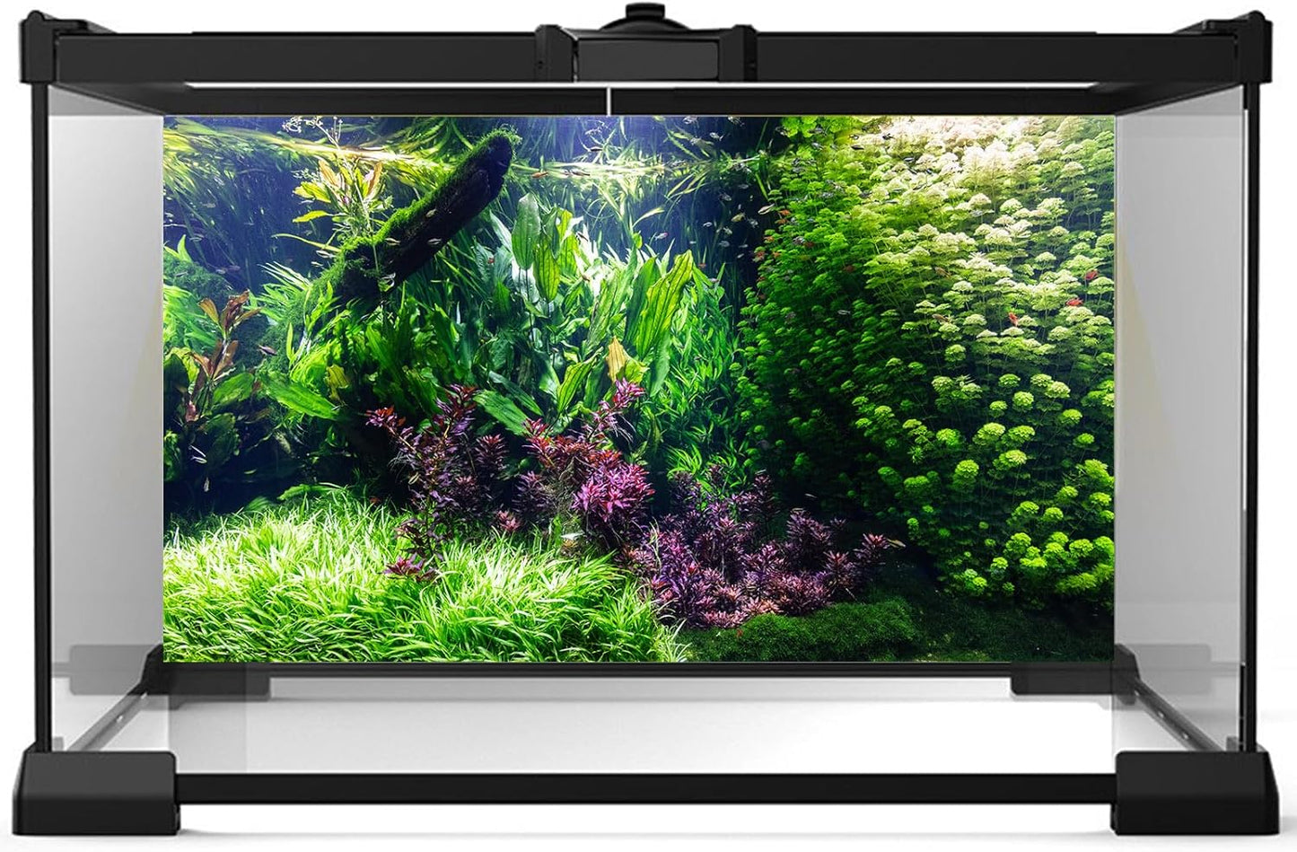 Aquarium Background Various Underwater Grass Plants Aquarium Backdrop Vivid and Fresh Green Aquatic Plants Stone River Bed and Dead Wood Tank Background Vinyl 24x12in