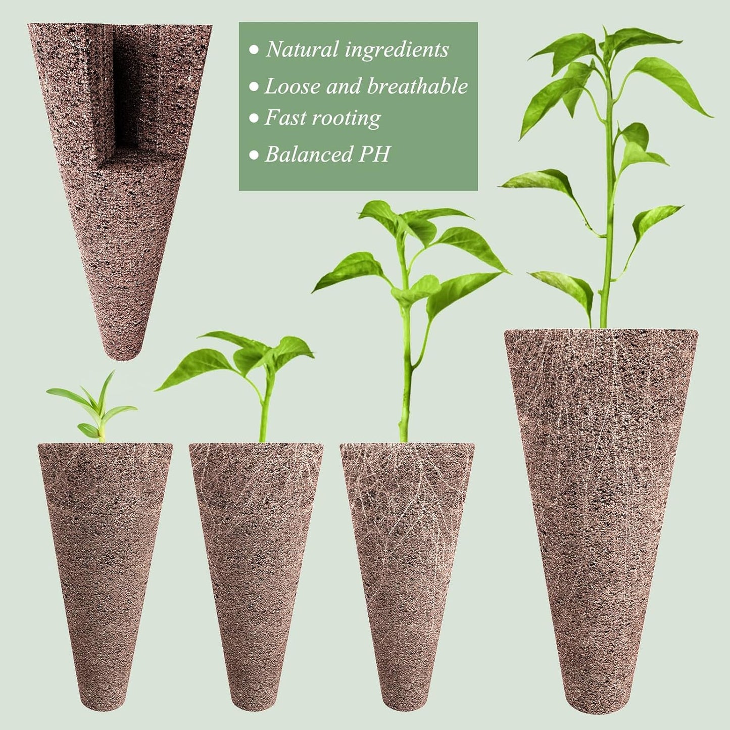 50 Piece Hydroponic Pods Kit: Grow Anything with 50 Grow Sponges - Compatible with All Hydroponics Brands