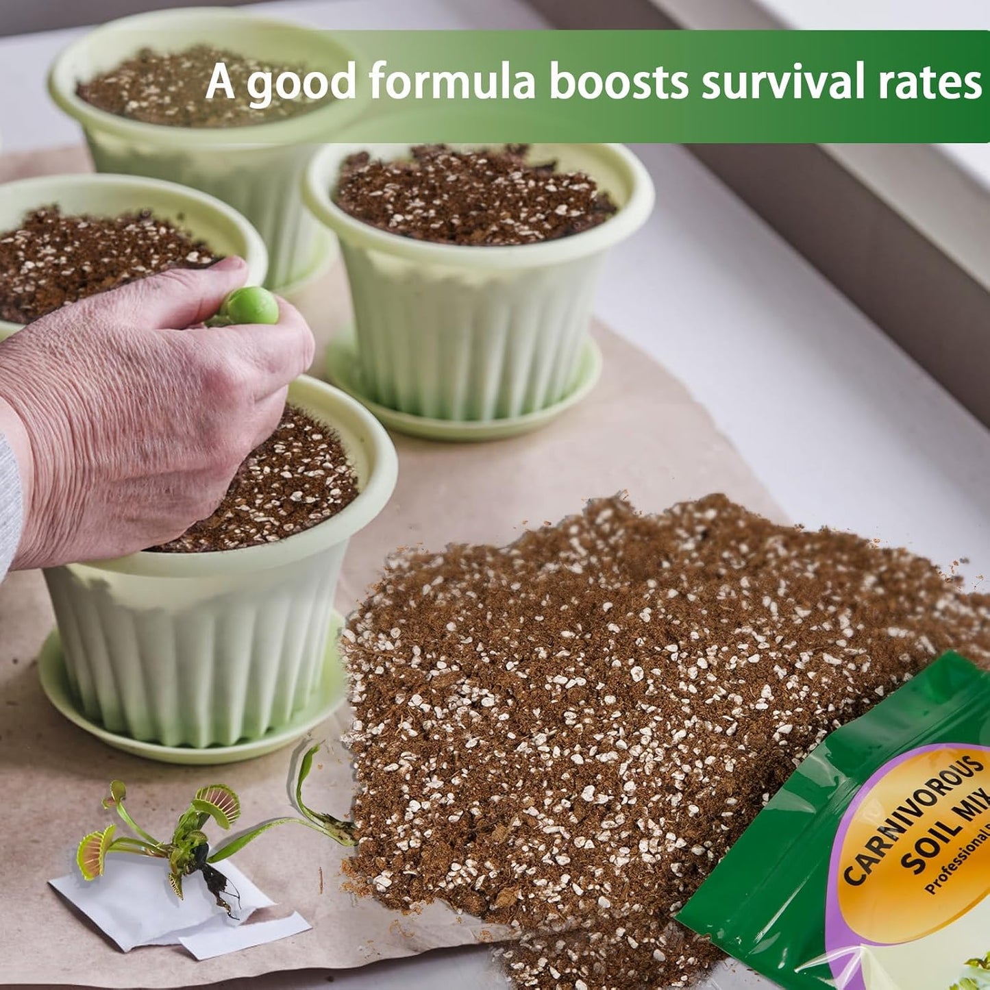 Carnivorous Plant Soil Mix 4qt, Pure Peat Moss and Perlite Mixture for Venus, Pitcher, Butterwort, Nepenthes, Sundew