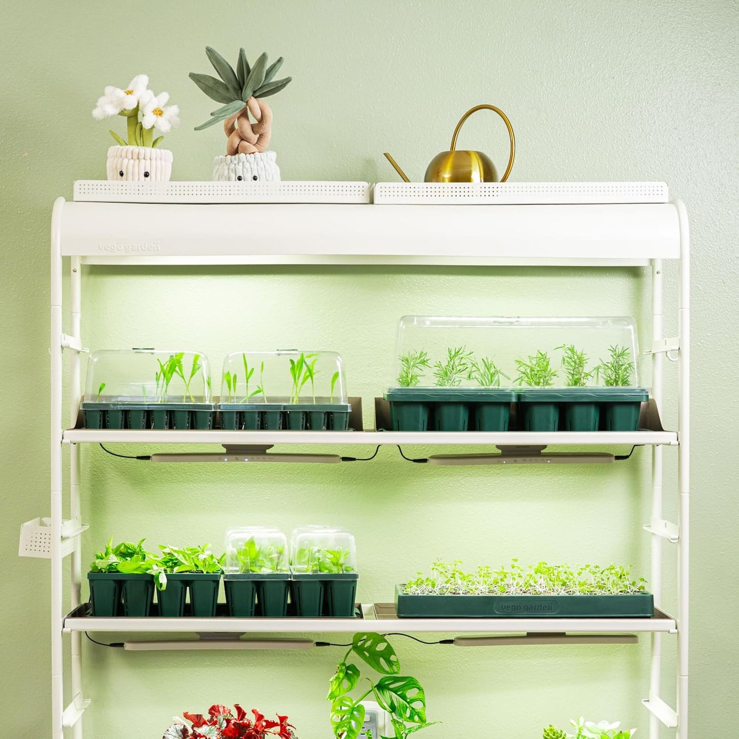 Vego garden Giga Seedling Trays - 8 Pack, 9-Cell UV-Resistant Reusable Starter Trays for Greenhouse/Garden (No Lids)