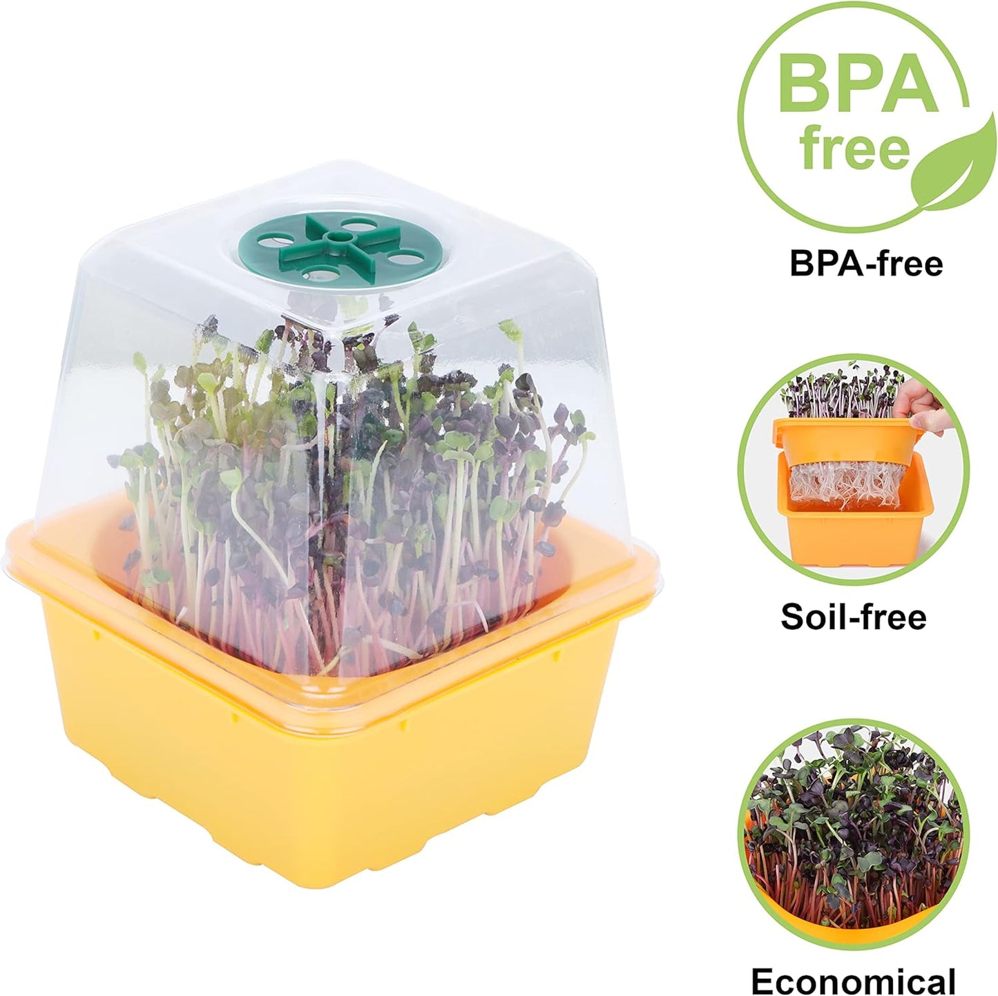 Microgreen Growing Trays, LUVCSOY Sprouting Tray with Humidity Dome, 3mm Large Mesh Holes, BPA Free, Sprouter Kit for Growing Large Seeds, Like Sunflower, Mung Beans, Green Pea - 4 Pack | Colorful