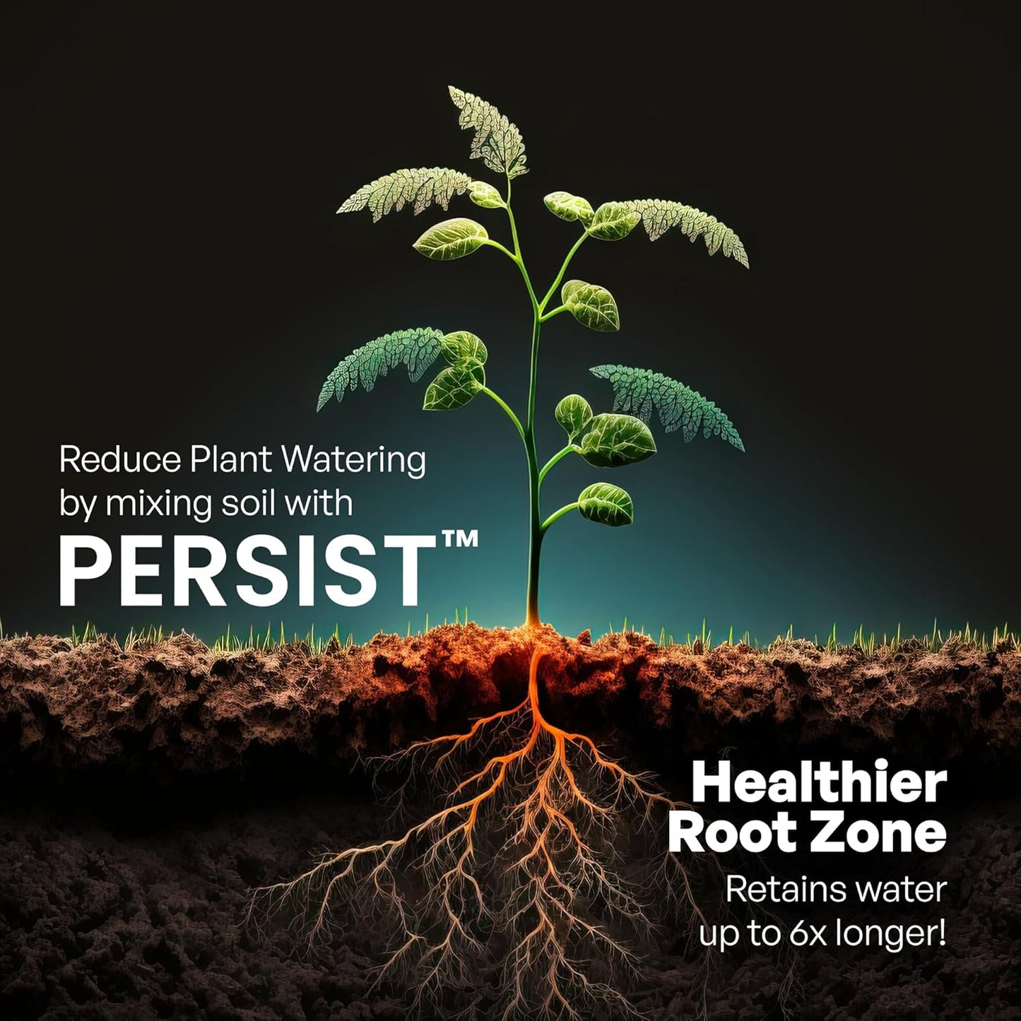 Persist Horticultural Charcoal 3qt Bag, Biochar Soil Amendment for Indoor Plants, Improves Soil for Terrariums, 100% Natural Active Carbon and House Plant Enhancer.