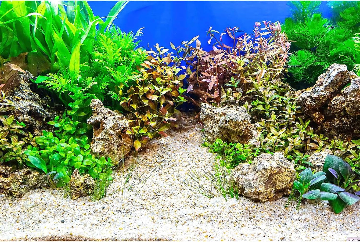 Aquarium Background Underwater Grass Leaves with Pebble Aquarium Backdrop Vivid and Fresh Green Aquatic Plant Stone River Bed and Lake Fish Tank Background Decor Vinyl 24x12in