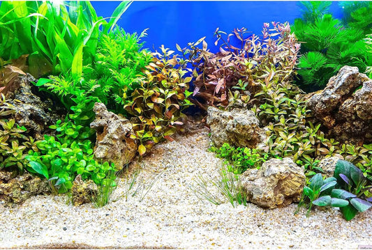 Aquarium Background Underwater Grass Leaves with Pebble Aquarium Backdrop Vivid and Fresh Green Aquatic Plant Stone River Bed and Lake Fish Tank Background Decor Vinyl 60x24in
