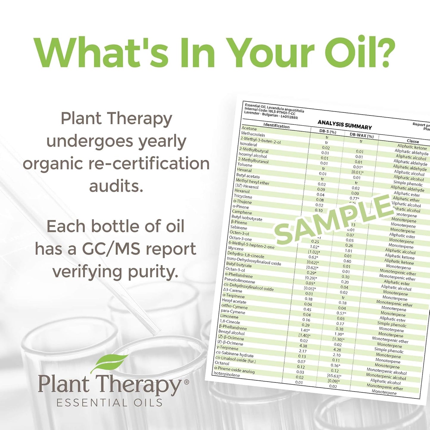 Plant Therapy USDA Certified Organic Basil Linalool Essential Oil 10 mL (1/3 oz) 100% Pure, Therapeutic Grade