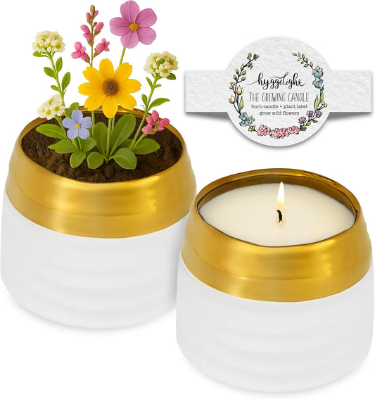 The Growing Candle, Wild Flower Scented, 10oz Ceramic Pot, Single Wick Aromatherapy Candles, 100% Soy for Women and Men, Clara