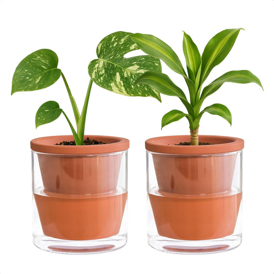 D'vine Dev 4 Inch Design Self Watering Pot for Indoor Plants, Terracotta Planter with Cylinder Glass Cup, Set of 2, 37-Y-A-1