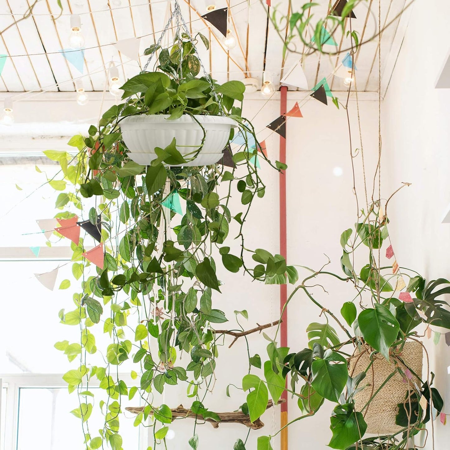 summer flower 3pcs 10.6 inch Plastic Hanging Planters Pots for Outdoor Indoor Plants Hanging Flower Plant Baskets Holder for Garden Porch Ceiling (White)