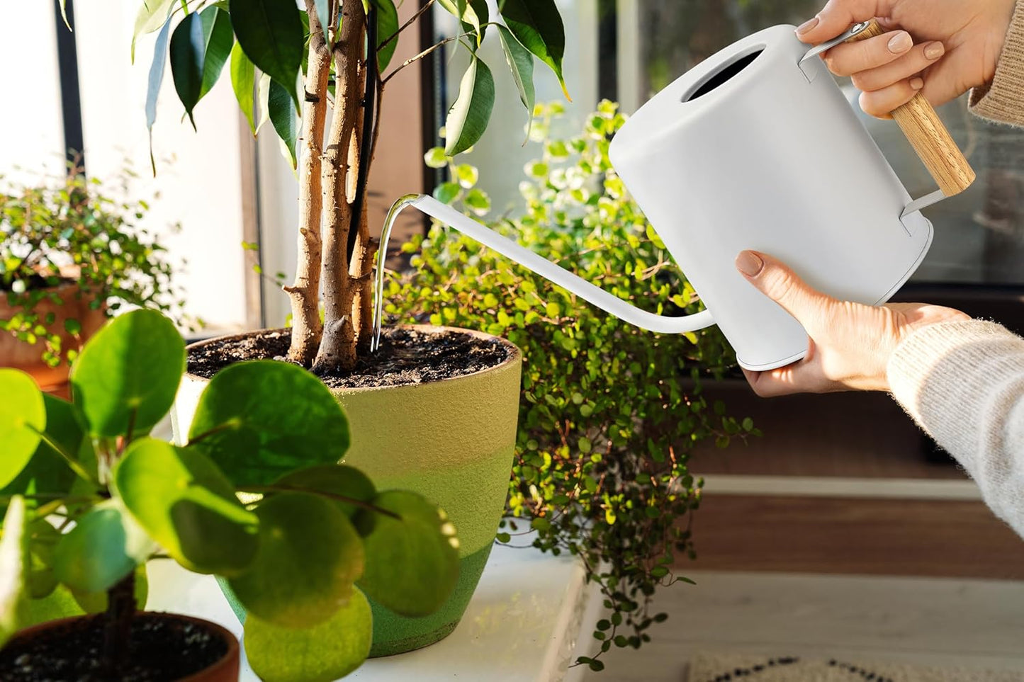 1.5 Liter Watering Can for Indoor Plants, House Plants, Flower Watering, Outdoor Plants - Small Metal Watering Can with Long Spout (White)