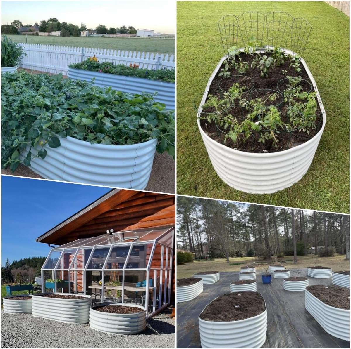 A ANLEOLIFE 6X3X2 ft Galvanized Raised Garden Beds Outdoor-8 Pack, Oval Large Metal Deep Root Planter Box for Planting Vegetables Flowers Herb, Anti-Rust & Easy-Setup, Antique White