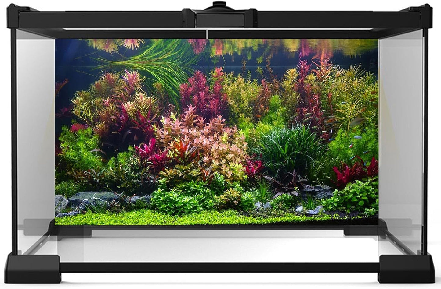 Aquarium Background Various Vivid Fresh Underwater Aquatic Plant Fish Tank Aquarium Backdrop Stone River Bed and Lake Fish Terrarium Background Decor Vinyl 72x18in