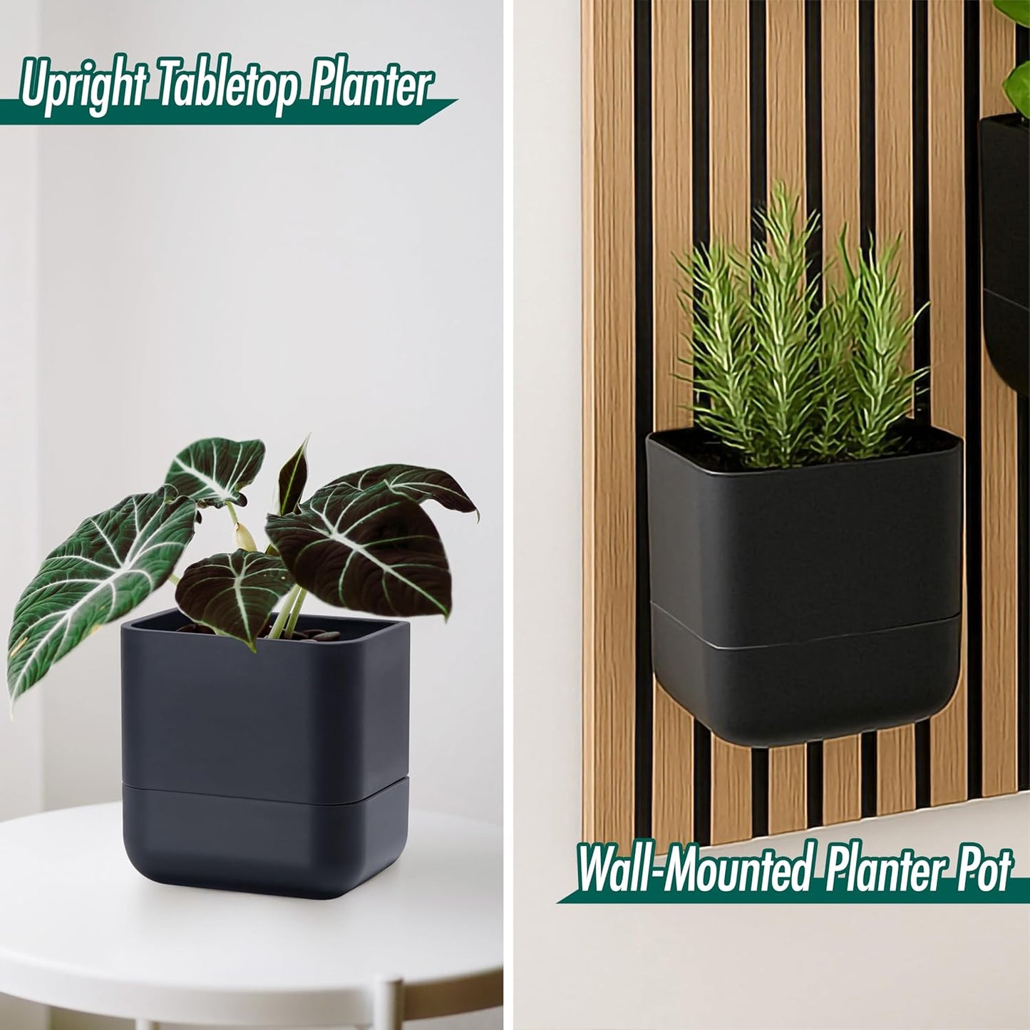Phoenix Vine 6.5-Inch Wall Mounted Self-Watering Planter Pot for Indoor Houseplants and Herbs | Modern Hanging Planter for Window Sills, Bathroom Walls, Home & Office Décor, Black, Set of 2, 01-WP-B-2