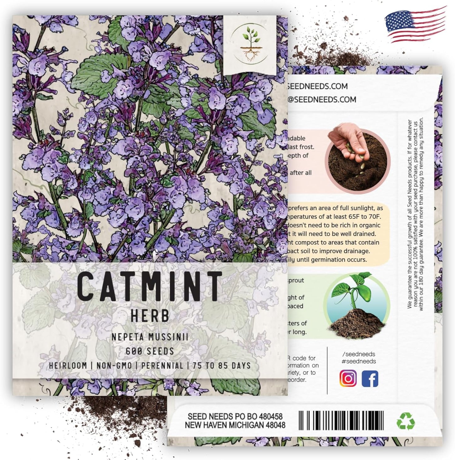 Seed Needs, Catmint Seeds for Cats - 600 Heirloom Seeds for Planting Nepeta mussinii - Perennial Flowering Medicinal Herb Non-GMO & Untreated (5 Packs)