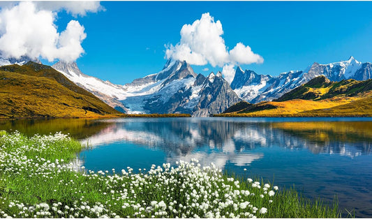 Mountains Lake Aquarium Background Bernese range View Fish Tank Background Switzerland Alps Grindelwald Valley Lake Terrarium Background Fantastic Natural Landscape Aquarium Fish Tank Decors 48x20in