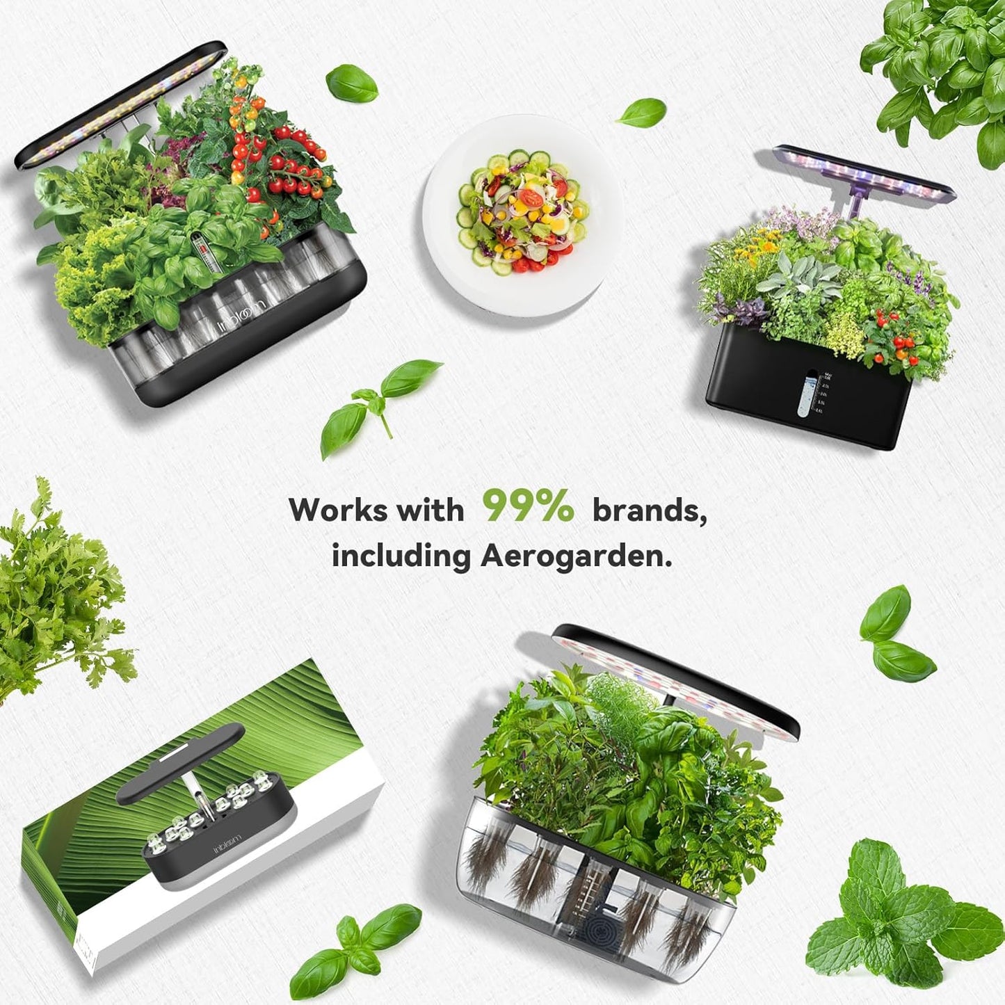 inbloom 12-Pod Salad Greens Seed Pod Kit for AeroGarden, Ahopegarden, Hydroponic Garden with Spinach, Buttercrunch, Paris & American Lettuce, Swiss Chard, Wild Cabbage